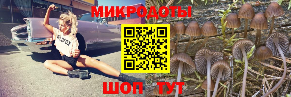 Галлюциногенные грибы GOLDEN TEACHER  Вход с VPN  Долгопрудный 
